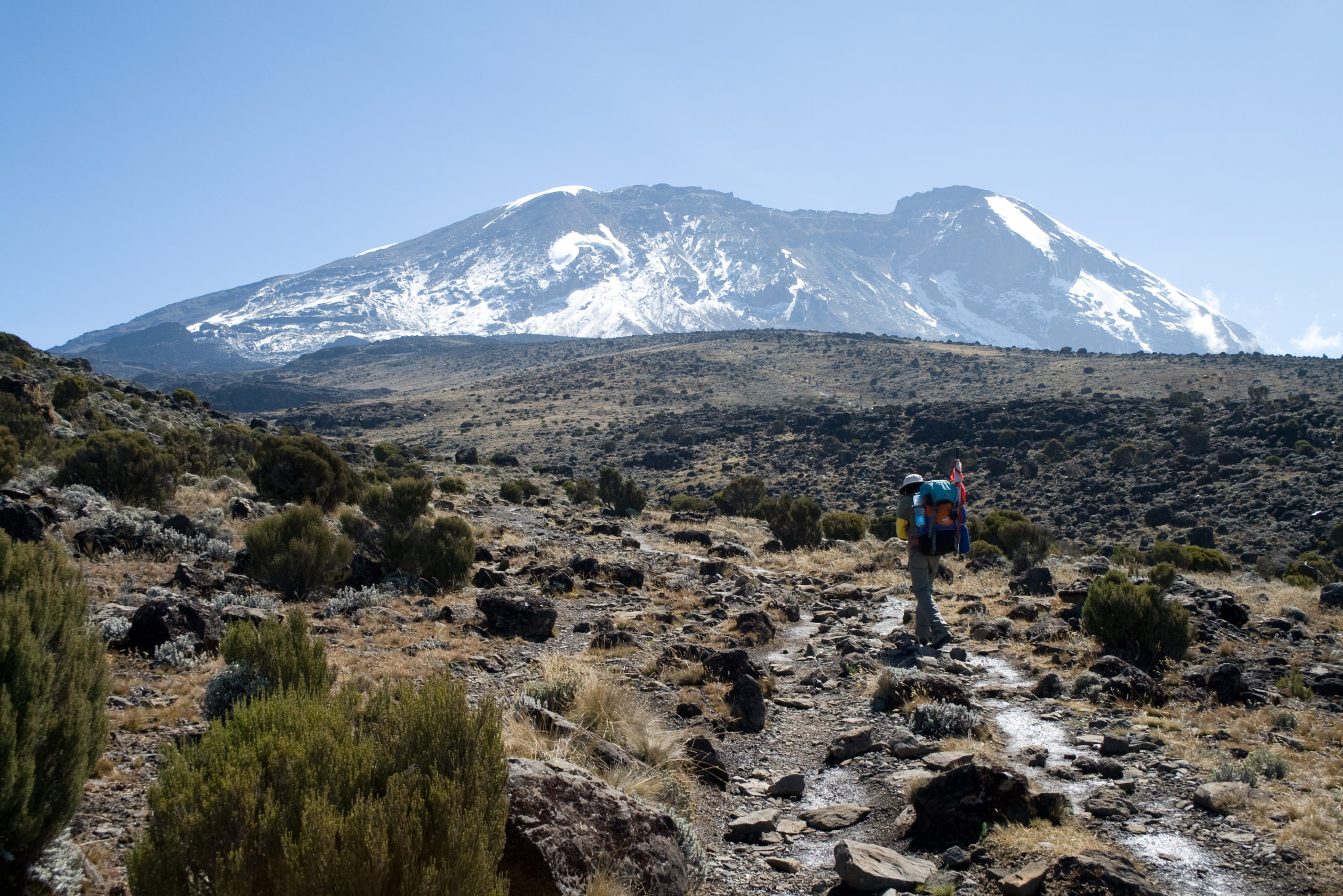 Kilimanjaro by Stig Nygaard