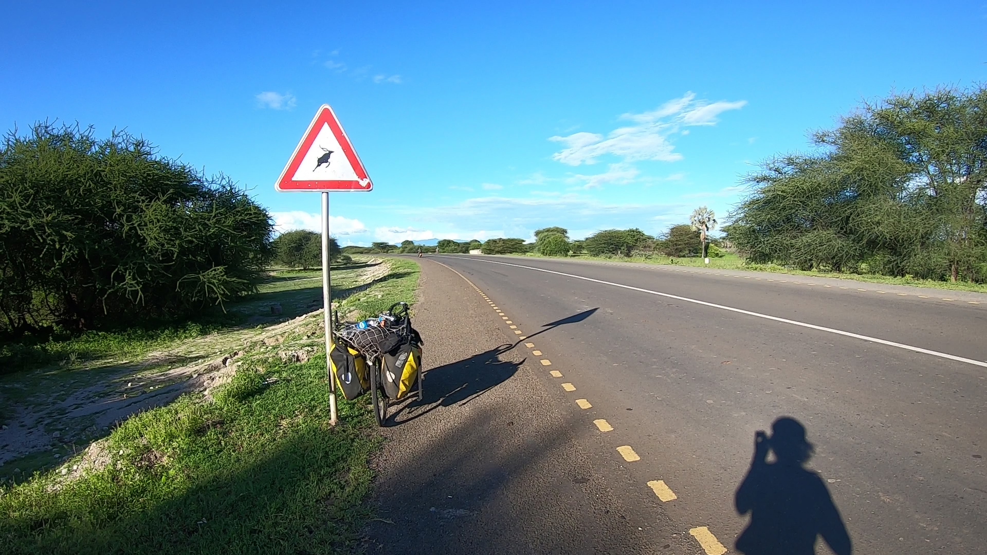 鹿に注意の標識と自転車