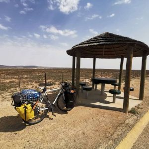 毒蛇と遭遇。[閲覧注意]