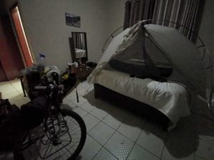 ………ゴキブリの巣で寝る。旅女子は見ちゃダメ。