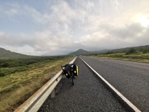 虫の死骸ベッド