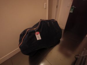 仲間が帰ってきた